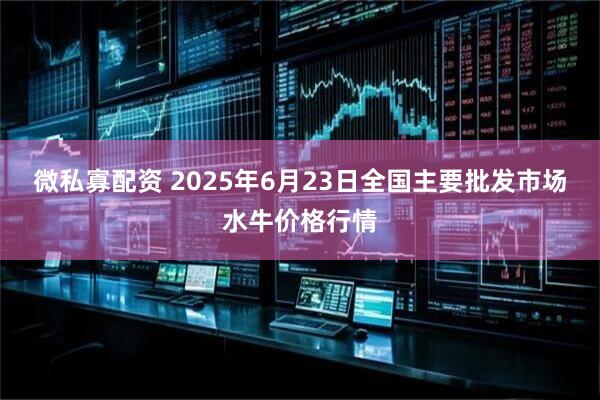 微私寡配资 2025年6月23日全国主要批发市场水牛价格行情