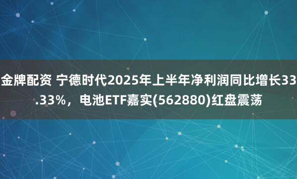 金牌配资 宁德时代2025年上半年净利润同比增长33.33%，电池ETF嘉实(562880)红盘震荡