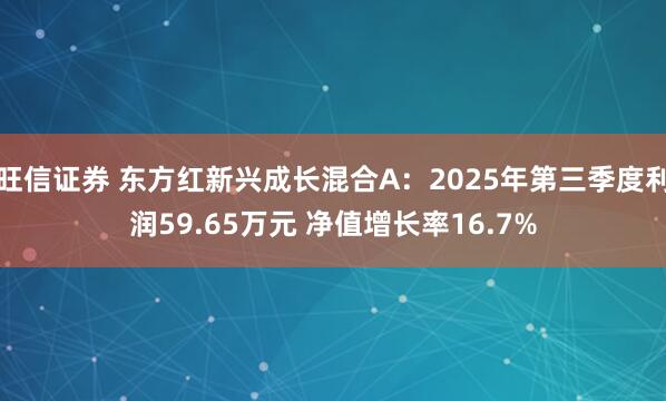 旺信证券 东方红新兴成长混合A：2025年第三季度利润59.65万元 净值增长率16.7%